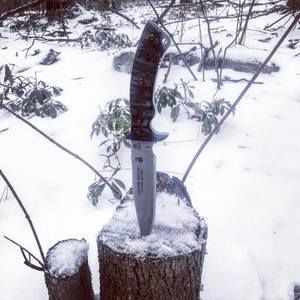 Meet your Posher, Steve